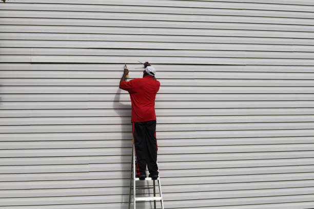 Affordable Siding Repair and Maintenance Services in Cool Valley, MO